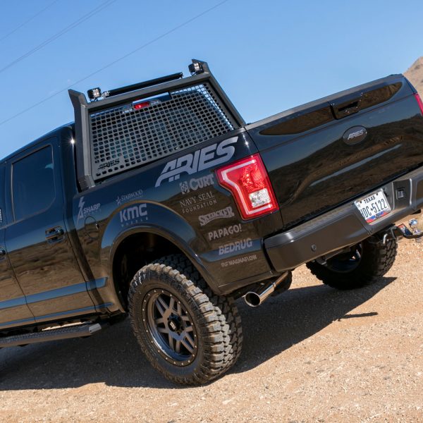 Nationwide-Ladder-AdvantEDGE-Carbide-Black-2016_Ford_F-150