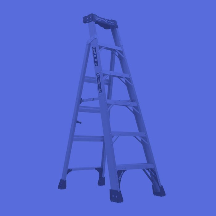 Dual Purpose Ladders